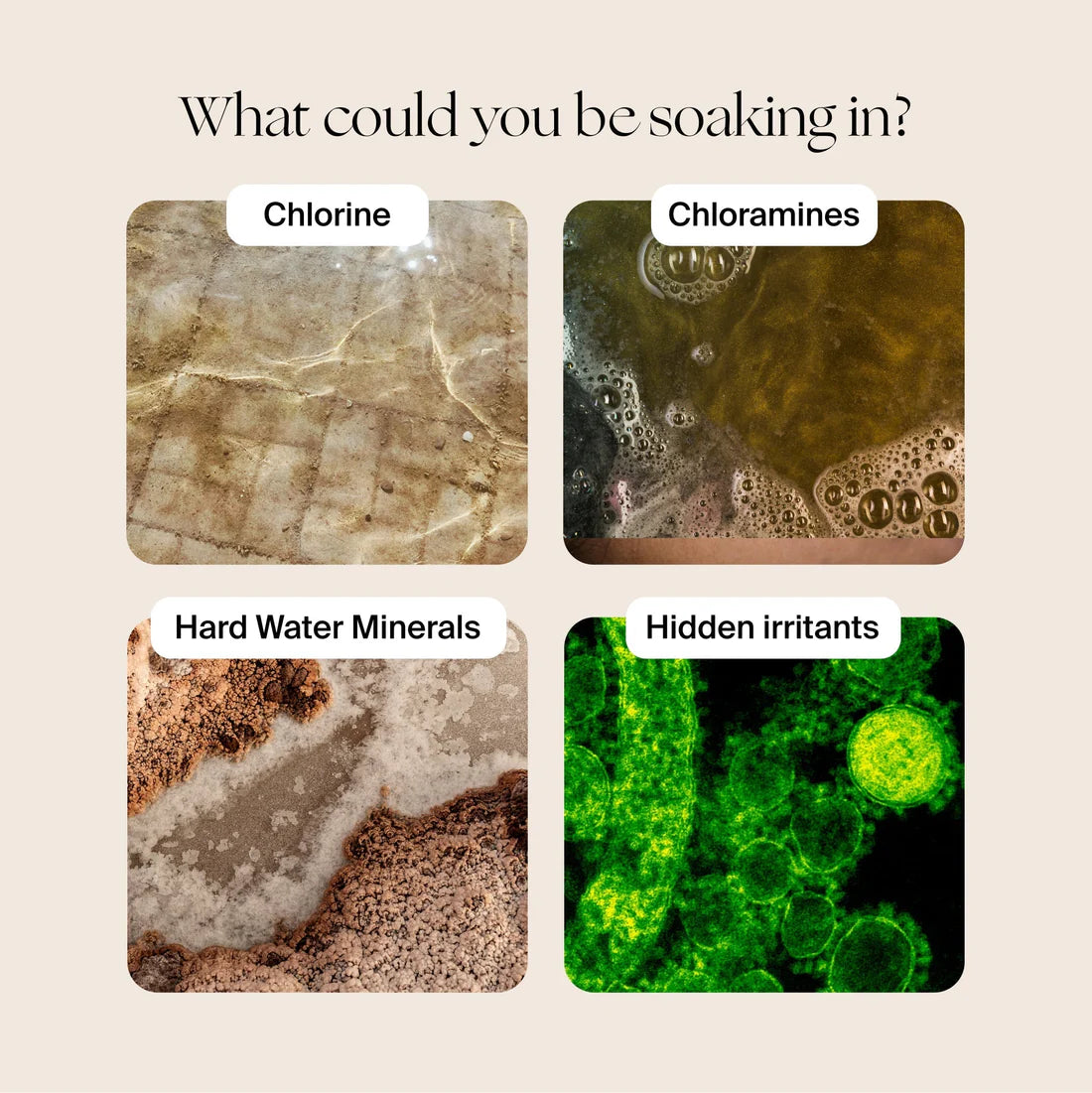 Bath Tub Filter LAVENDER