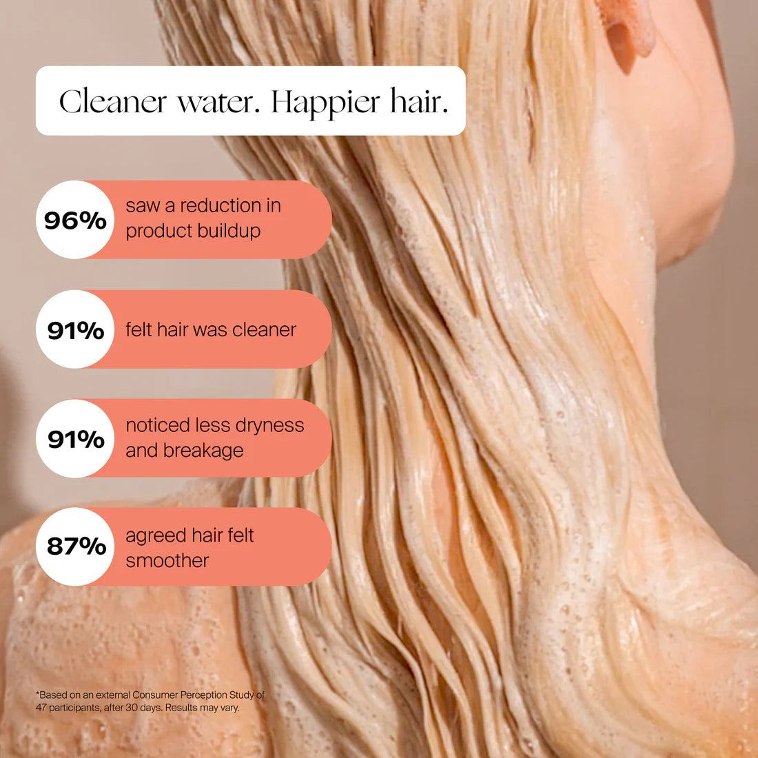 Handheld Filtered Showerhead BRUSHED NICKEL