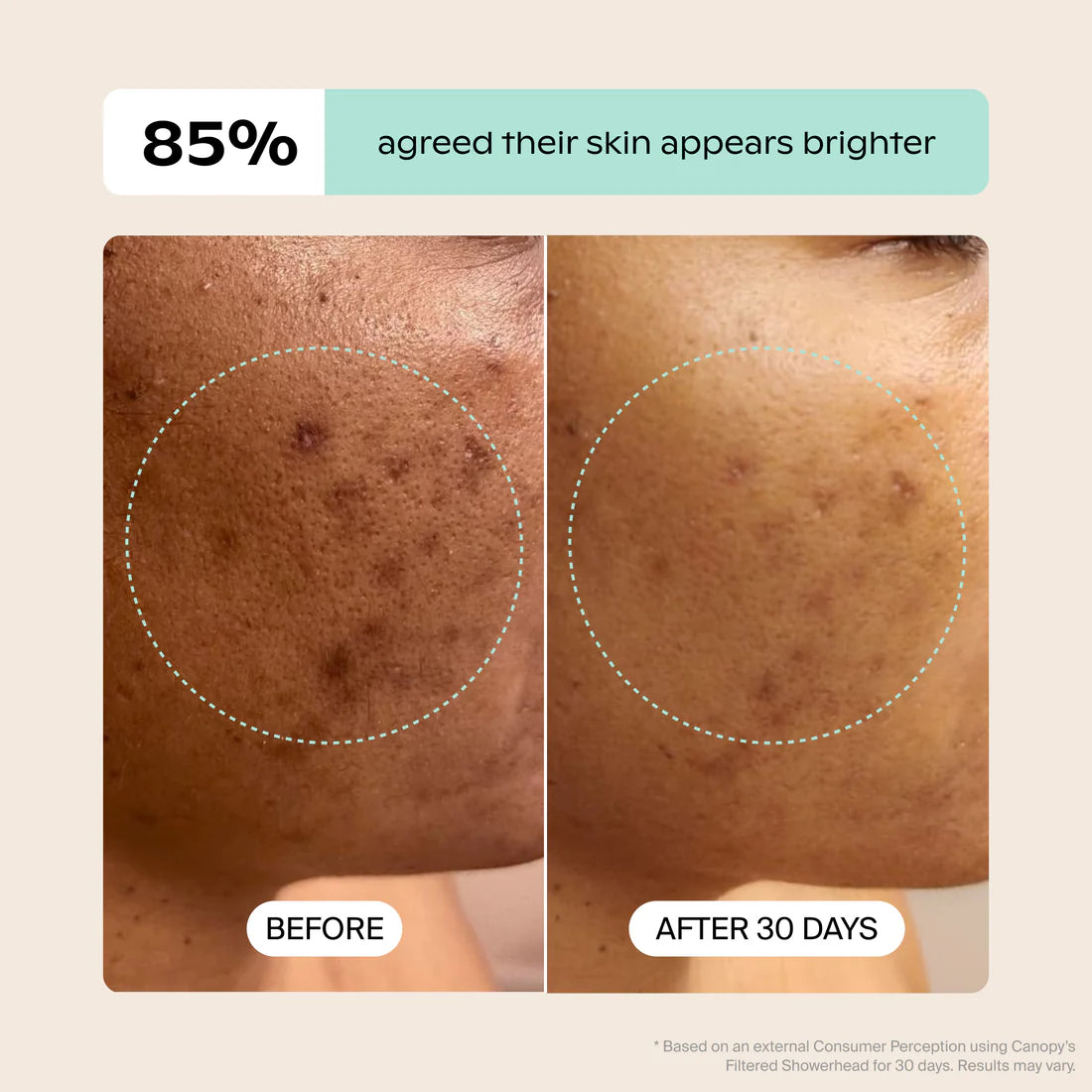 Handheld Filtered Showerhead BRUSHED NICKEL