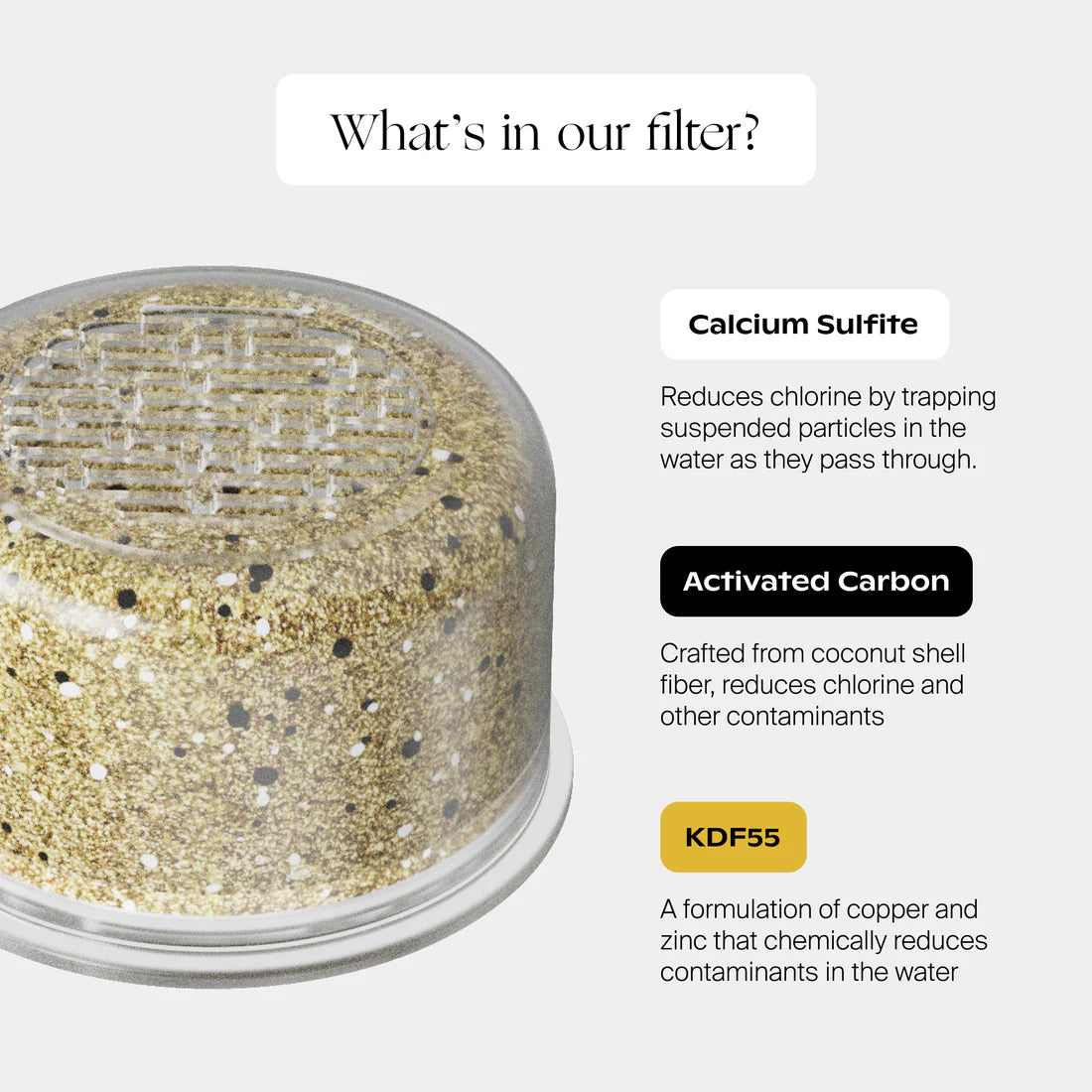 Handheld Filtered Showerhead BRUSHED NICKEL